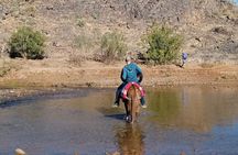 Half Day Private Walking Tour in Sidiflah Gorges