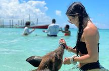 Bahamas: Swimming Pigs, Snorkeling, Beach Break Package
