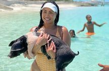 Bahamas: Swimming Pigs, Snorkeling, Beach Break Package