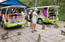 Vam Sat Can Gio Mangrove Forest by Luxury Speed Boat