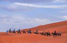 Ouarzazate - Desert - Fes 5 days 4 nights