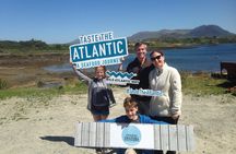 Oyster Farm and Tasting Experience