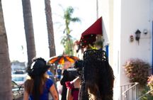 Old Town Walking History Tour in San Diego