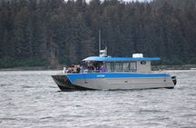 Wonderful Whales and Wildlife Tour