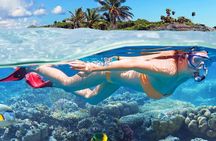 Catalina Island & Snorkeling Tour