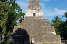 All Inclusive Tikal Tour from Flores and Airport