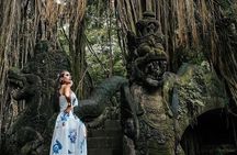 Ubud Monkey Forest, Holy Water Temple & Waterfalls Tours