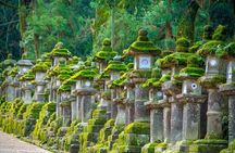 Arashiyama & Nara Highlights: One-Day Private Tour Adventure