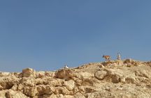 Hiking Adventure in the Heart of Cairo