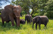 Arusha: Private 3 Day Safari Tarangire, Ngorongoro, Lake Manyara