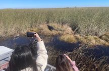Everglades Airboat, Wildlife Show and free Photo