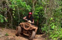 Horseback, ATV´s, Ziplines, Cenote, Hanging bridge Lunch and Round Trip Included
