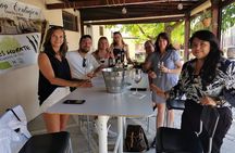 2 wineries tasting & quaint villages 6 hours wine tour in Madrid