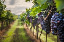 Osoyoos Wine Tour Full Day Guided With 5 Wineries