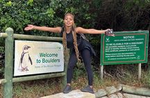 Boulders Beach Cape Town: Swimming With Penguin & Close Encounter Half Day Tour