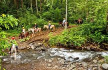 Educational Walk in the Rainforest Waterfall and Horse Ride