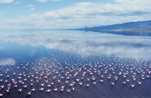 From Arusha: 3 Day Flamingo Safari Magic Lake Natron Tarangire