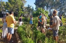 Aromatic Experience in the Medicinal Garden in Ibiza