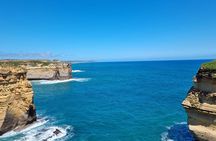 Private 12 Apostles or Melbourne Tour - Shore Excursion