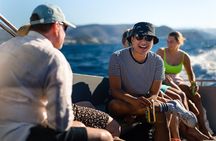 Blue Cave & Šunj Beach Small-Group Boat Tour from Dubrovnik