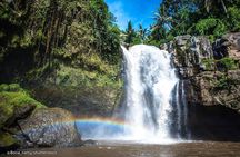 Bali Private Customized Tour with Local Driver