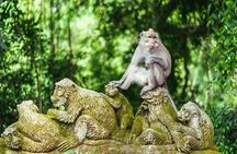 Ultimate one-stop Jewelry Experience with Ubud Tour