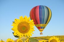 Balloon Rides in Segovia with Optional transportation from Madrid
