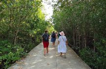 Half Day Mangrove and Lanta Old Town Tour