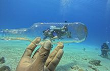 4 Hour Private Activity, Two Tank Diving in San Andres