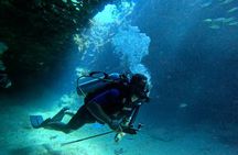 4 Hour Private Activity, Two Tank Diving in San Andres