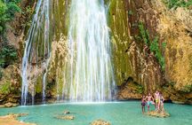 Whale Watching & Limón Waterfall Day Trip