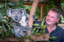 Late Start Blue Mountains Nature, Waterfalls, Koalas Small Group 