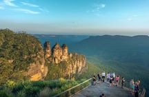 Late Start Blue Mountains Nature, Waterfalls, Koalas Small Group 