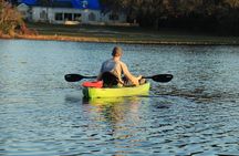 90-Minute Sunset paddle at Secret Lake Guided Kayak Tour in Casselberry 