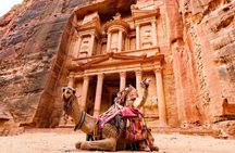 Day Trip to Petra, Wadi Rum, and Shobak Castle 