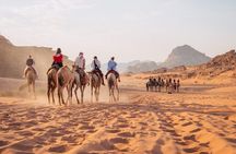 Day Trip to Petra, Wadi Rum, and Shobak Castle 