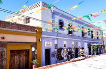 Art and Culture in Todos Santos