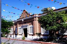 Art and Culture in Todos Santos