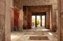 Pompeii Guided Tour & Lunch with Superior Wine Tasting