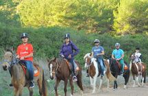 Ephesus Full-Day Tour with Horse Safari from Kusadasi Cruise Port max 10 people
