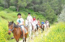 Ephesus Full-Day Tour with Horse Safari from Kusadasi Cruise Port max 10 people