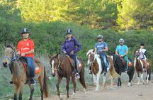 Ephesus Full-Day Tour with Horse Safari from Kusadasi Cruise Port max 10 people