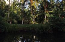 Negombo Lagoon & Muthurjawela Bird Watching Boat Tour