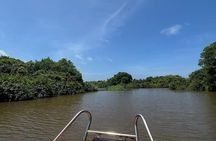 Negombo Lagoon & Muthurjawela Bird Watching Boat Tour