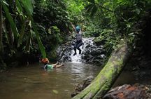 Canyoning Waterfall Rappelling Adventure in Costa Rica