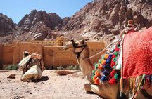 Full-Day Tour Mount Sinai Hike and St Catharine's Monastery 
