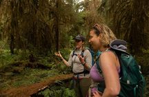 Olympic Full Day Small Group Tour & Hike