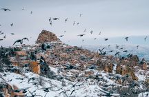 Mix Tour ( Combined Red+Green Tour) All Include (Small Group)