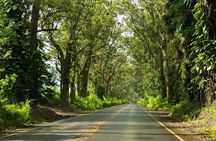 Private Kauai Island Tour-Featuring the Waimea Canyon