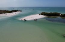 St. Pete Dolphin Watching and Shelling Adventure